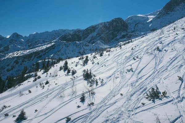 Не остави траг